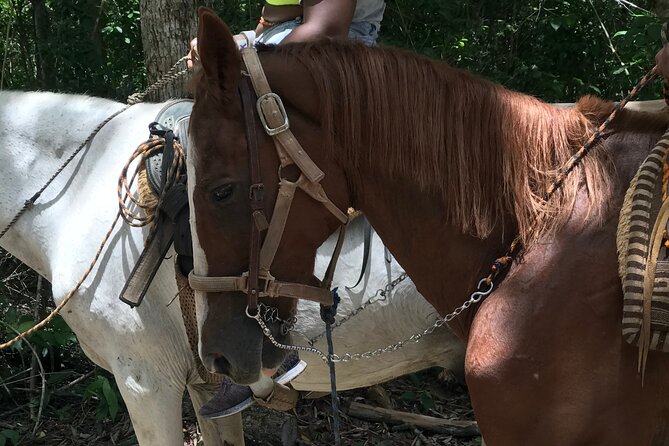 Horseback riding with ATV, zip lines and cenote, lunch and transfer - Horseback riding: the calm contrast, with time expectations