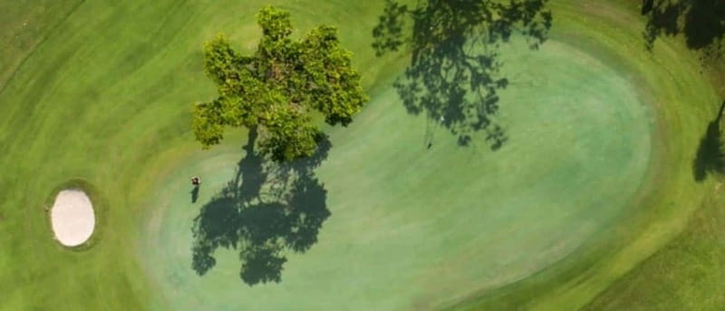 Iberostar Cancun Golf Course - Wildlife and Crocodiles: The Unique Part That You Should Respect