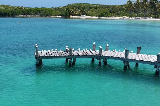 Isla Contoy and Isla Mujeres Tour with Snorkeling from Cancun - From Cancun to Punta Sam: What the Morning Feels Like