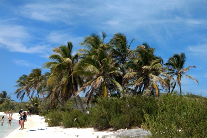 Isla Contoy and Isla Mujeres Tour with Snorkeling from Cancun - Marine Museum, Nature Trails, and the Observatory Views