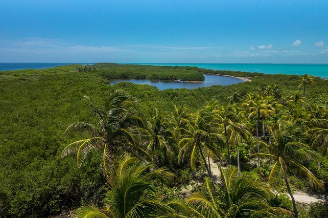 Isla Contoy and Isla Mujeres Tour with Snorkeling from Cancun - Tik n Xic BBQ Lunch on Contoy: What You Actually Get to Eat