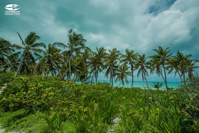 Isla Contoy Eco Adventure - The snorkeling rhythm at Ixlache Reef (and why you should plan for group rules)