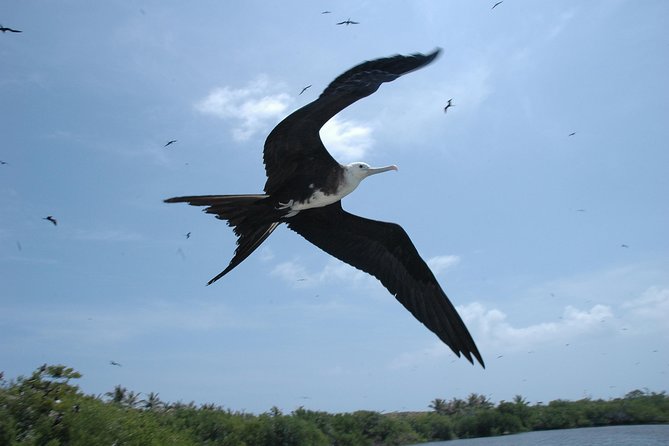 Isla Contoy Eco Adventure - Lunch with Tikinxic fish and an open domestic bar