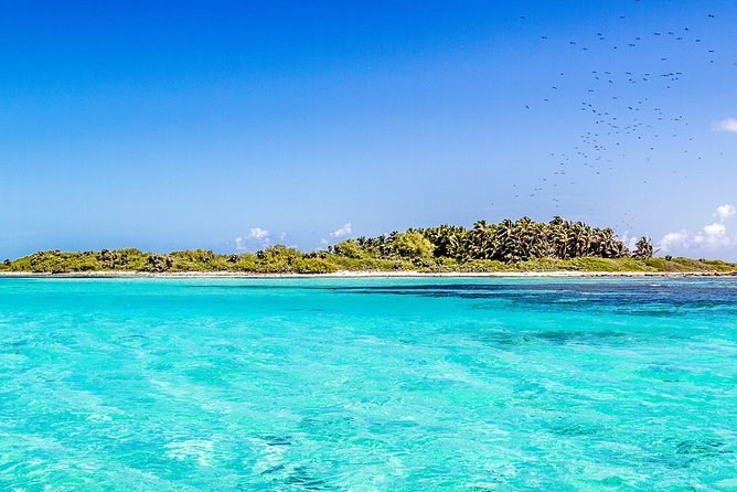 Isla Contoy Incredible Tour! Round Transportation From Cancun & Playa Del Carmen - Isla Mujeres in one hour: enjoy it, but treat it as a taste