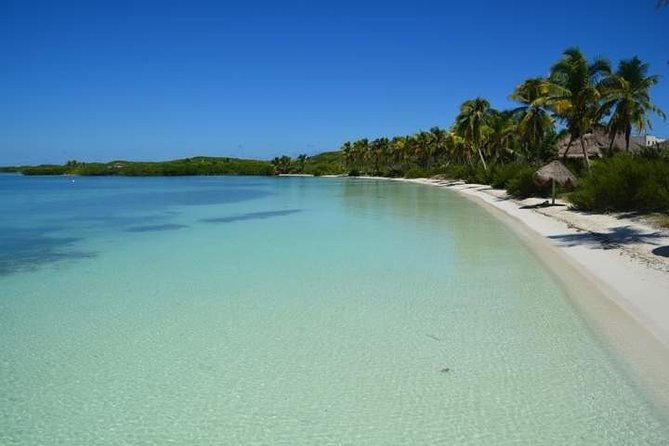 Isla Contoy Incredible Tour! Round Transportation From Cancun & Playa Del Carmen - Catamaran ride from Cancun marina: decks, sea views, and onboard energy