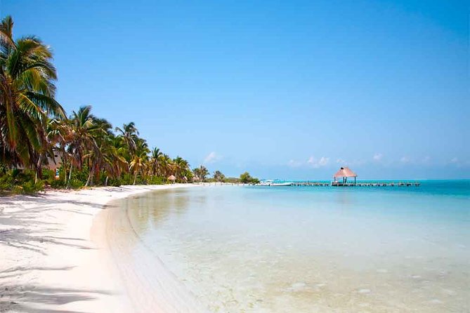 Isla Contoy Incredible Tour! Round Transportation From Cancun & Playa Del Carmen - Pickup and meeting points: how to avoid getting stranded at 7:00 am