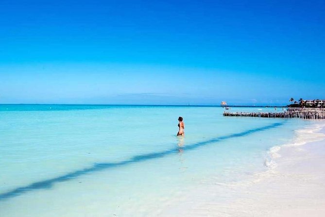 Isla Contoy & Isla Mujeres Tour from Cancun & Playa Del Carmen - Isla Contoy snorkel on a protected reef
