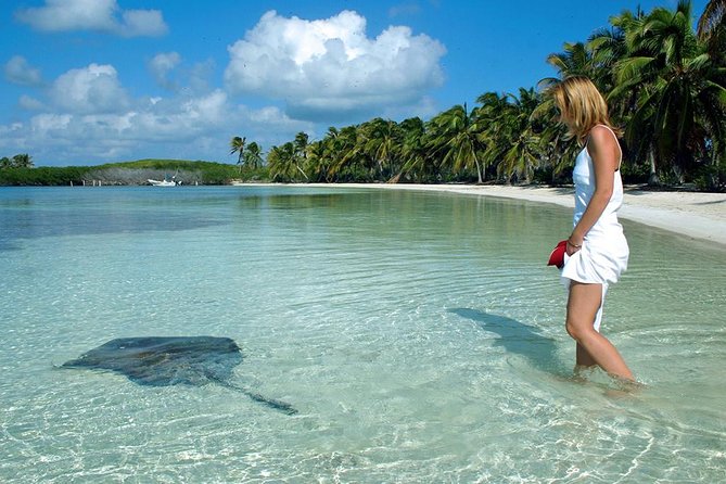 Isla Contoy & Isla Mujeres Tour from Cancun & Playa Del Carmen - Price and what you actually get for $162