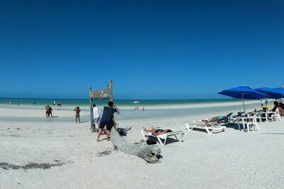 Isla Holbox All Inclusive with Transportation (Breakfast and Food Included)
