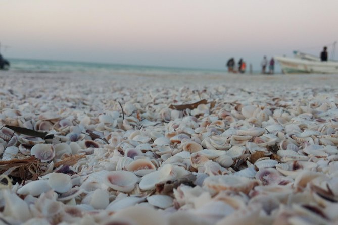 Isla Holbox All Inclusive with Transportation (Breakfast and Food Included) - Group Size and Comfort on a 12-Hour Loop