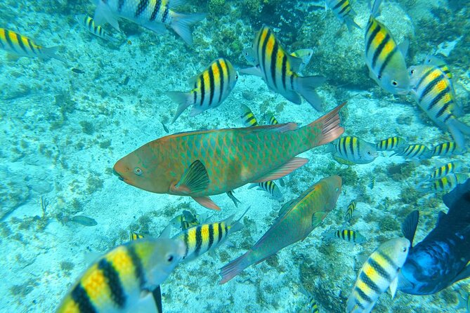 Isla Mujeres Basic Tour in Catamaran with Snorkel and Open Bar - Stop 1 at Playa Tortugas: early welcome and a quick first sail