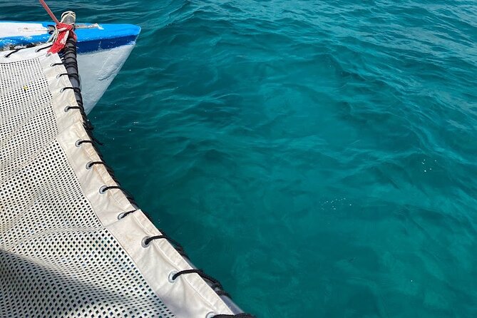 Isla Mujeres Basic Tour in Catamaran with Snorkel and Open Bar - Price and value: what $59 gets you, plus the $20 dock fee