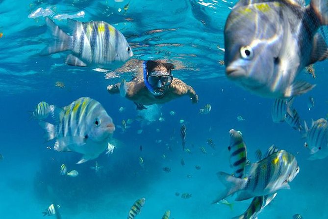 Isla Mujeres Catamaran Adventure All Inclusive from Cancun - Open bar, buffet lunch, and tequila tasting that actually fit the day