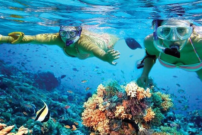 Isla Mujeres Catamaran, Open Bar & Optional Buffet and pick up - Club Playa Mexico and the open bar stretch: lunch, shade, and drink expectations