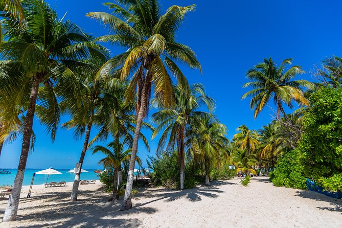 Isla Mujeres Catamaran, Open Bar & Optional Buffet and pick up - Isla Mujeres free time: shopping streets, beach moments, and golf cart logic