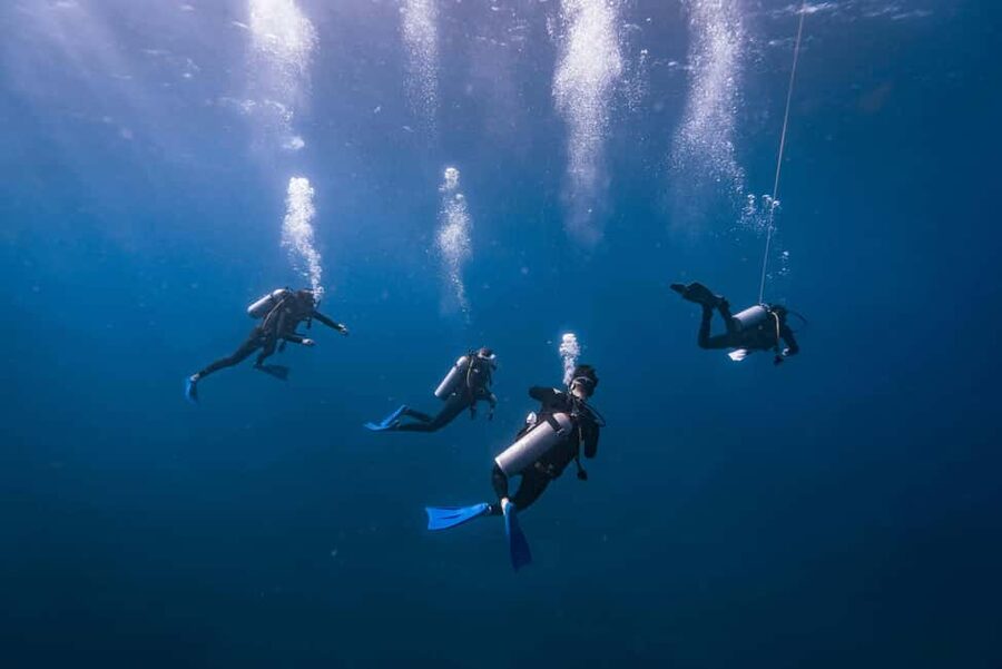 Isla Mujeres: Catamaran Ride with Open Bar, Snorkeling, and Lunch - Key things to know