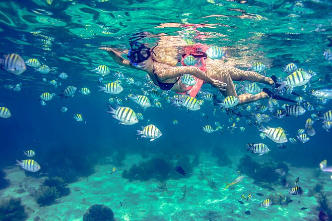 Isla Mujeres Catamaran tour with Open Bar, Lunch and Snorkeling - Who This Tour Is Best For (and Who Might Prefer Something Else)