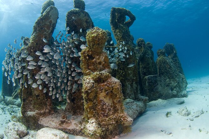 Isla Mujeres Catamaran Tour with Snorkeling at MUSA, Buffet Lunch & Open Bar - Open Bar and Deck Time: Fun Factor With One Catch