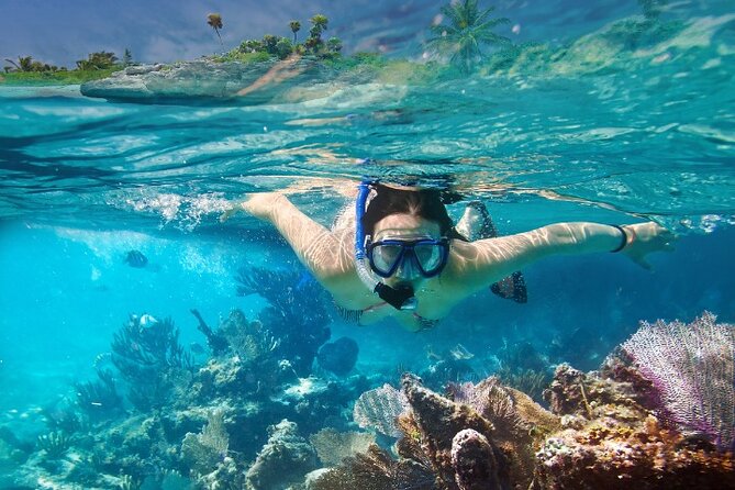 Isla Mujeres Catamaran Tour with Snorkeling, Open Bar & Buffet - Who This Tour Fits Best (and Who Might Want a Different Pace)