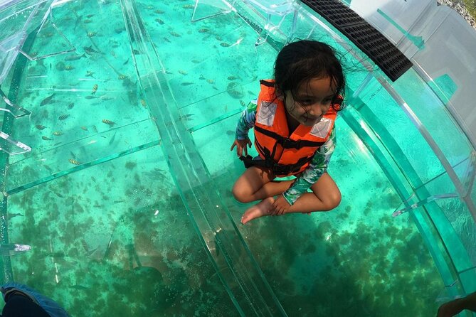 Isla Mujeres: Coral Reef Views from a Clear Boat - Price, Photos, and the Onboard Rules You Should Know