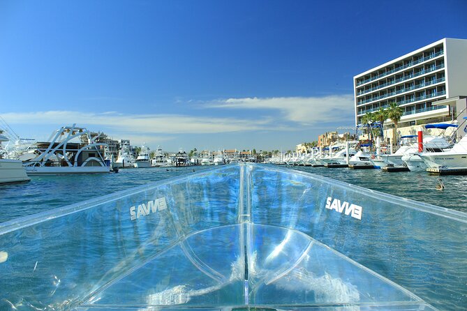 Isla Mujeres: Coral Reef Views from a Clear Boat - Marina Bartolomé Check-In and What Happens Before You Go