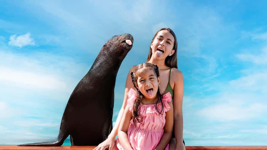 ISLA MUJERES: Dolphin Royal Connection & buffet from Cancun - Price and value: what $179 really covers (and what can cost extra)