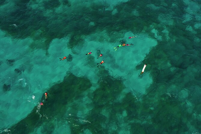 Isla Mujeres Island and Snorkeling Tour - Isla Mujeres downtown for an hour: walk, Malecón, and ice cream