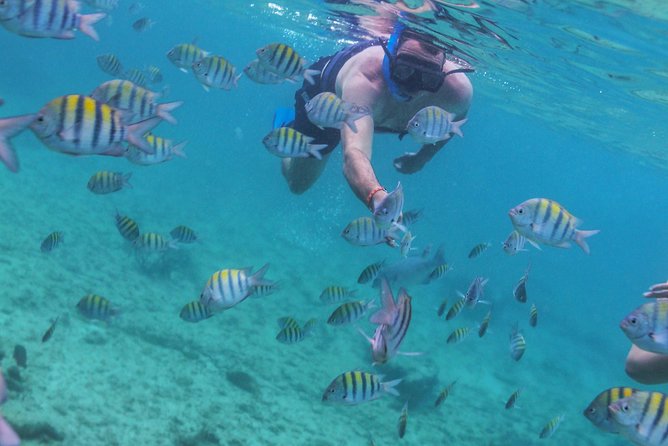 Isla Mujeres Luxury Sailing: Adults Only or Family Friendly - Who should book this Isla Mujeres luxury sailing?