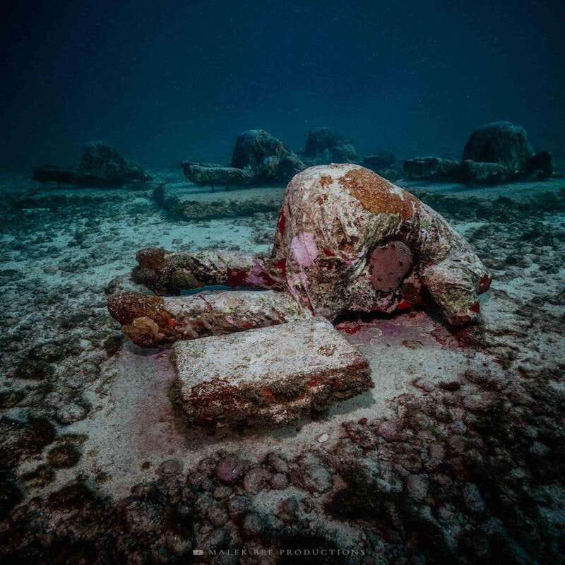 Isla Mujeres: MUSA and the Manchones Reef: 2 Tank Dive Tour - Key things you’ll notice on this Isla Mujeres 2-tank tour
