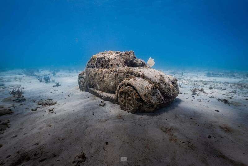 Isla Mujeres: MUSA and the Manchones Reef: 2 Tank Dive Tour - Manchones Reef second hour: schooling fish and calm wildlife encounters
