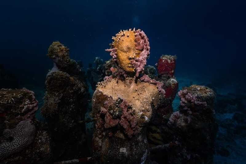 Isla Mujeres: MUSA and the Manchones Reef: 2 Tank Dive Tour - Price and value: what $125 covers, and what you might pay extra