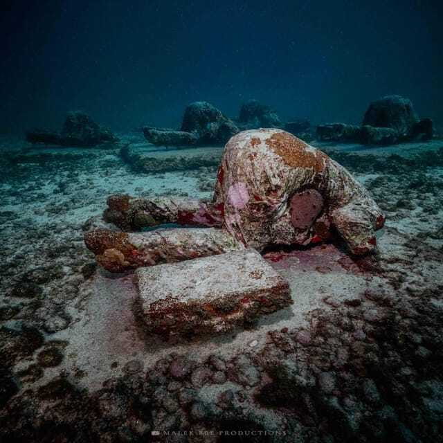 Isla Mujeres: MUSA and the Manchones Reef: 2 Tank Dive Tour - Rules onboard that keep the water protected