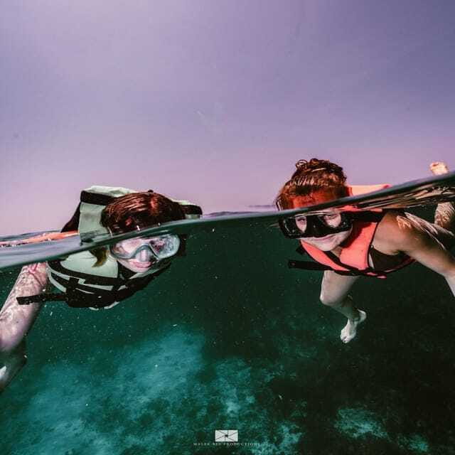 Isla Mujeres - MUSA and the Manchones Reef - Snorkel - Should you book Isla Mujeres MUSA and Manchones Reef snorkeling?