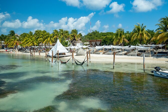 Isla Mujeres Plus by Albatros Catamarans - Lunch Included: The International Buffet That Actually Helps