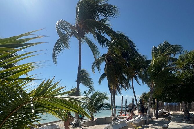 Isla Mujeres Plus Tour with Snorkeling Buffet and Open Bar - Key highlights you’ll feel right away