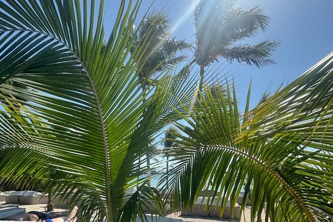 Isla Mujeres Plus Tour with Snorkeling Buffet and Open Bar - Value check: the $89 price plus the $20 dock tax