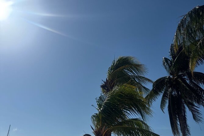 Isla Mujeres Plus Tour with Snorkeling Buffet and Open Bar - Comfort and the small-catamaran trade-off