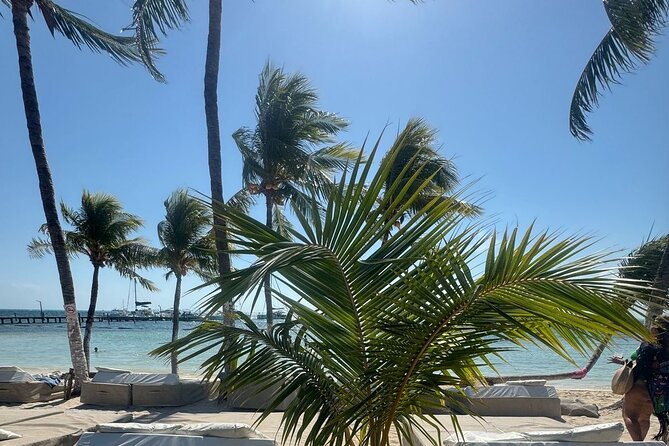 Isla Mujeres Plus Tour with Snorkeling Buffet and Open Bar - Who this Isla Mujeres Plus Tour fits best