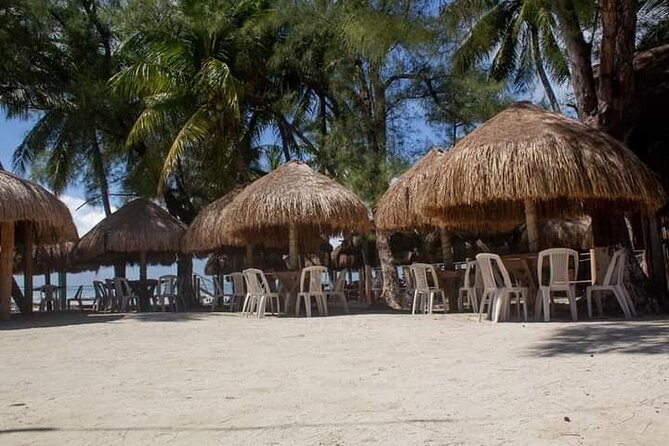 Isla Mujeres Premium Tour in Private Catamaran with Lunch - The Open Bar and Lunch: Fun Included, but Check Expectations
