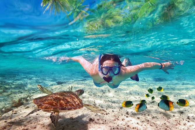 Isla Mujeres Sailing catamaran tour - Time in Isla Mujeres town: exploring at your own pace
