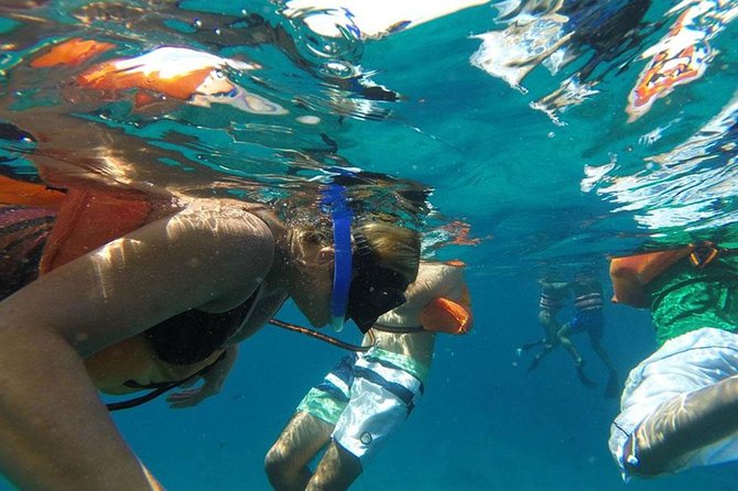 Isla Mujeres, Snorkel, Lunch & Pick Up from Cancun to P.Morelos - Stop 2: El Meco Reef, snorkeling expectations should stay realistic