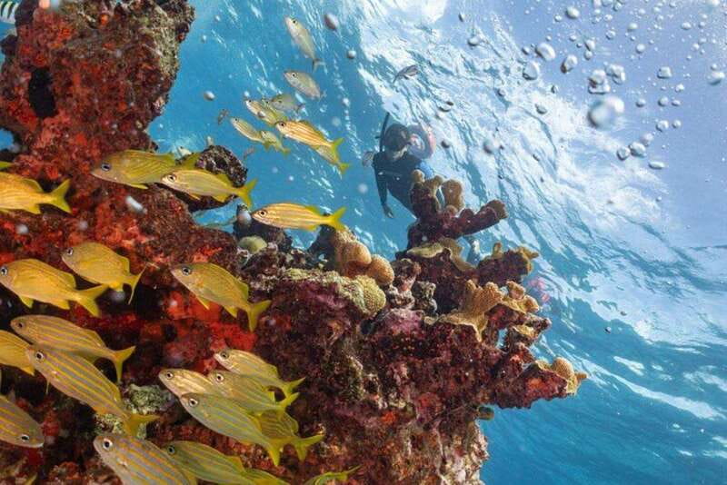 Isla Mujeres: Snorkel Tour at Musa and Manchones Reef - What the 4 hours feel like on the water