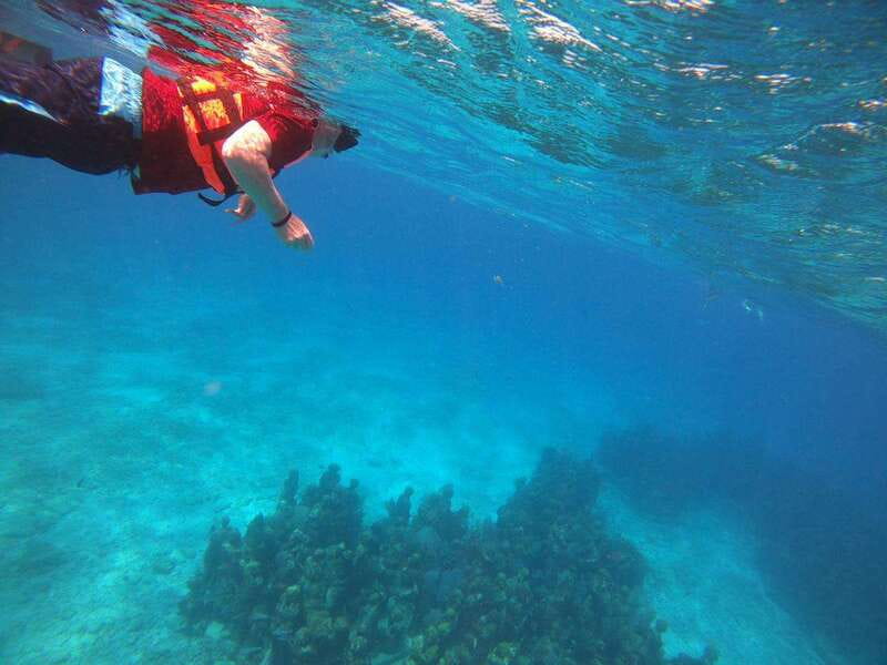 Isla Mujeres: Snorkeling Adventure at the Underwater Museum - Gear, safety, and comfort: make your snorkel time easier