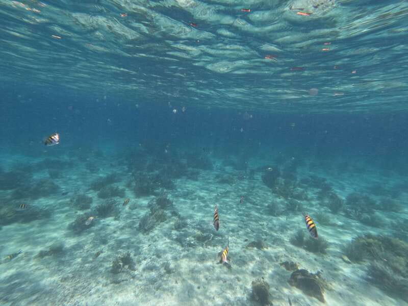 Isla Mujeres: Snorkeling in Underwater Museum - The Cooperative Behind It: Service You Can Feel in the Water