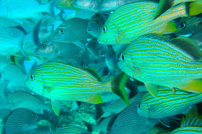 Isla Mujeres Snorkeling Tour - Gear and how the crew helps you stay comfortable