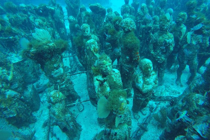 Isla Mujeres Snorkeling Tour Adventure - Gear and safety rules that affect how you snorkel