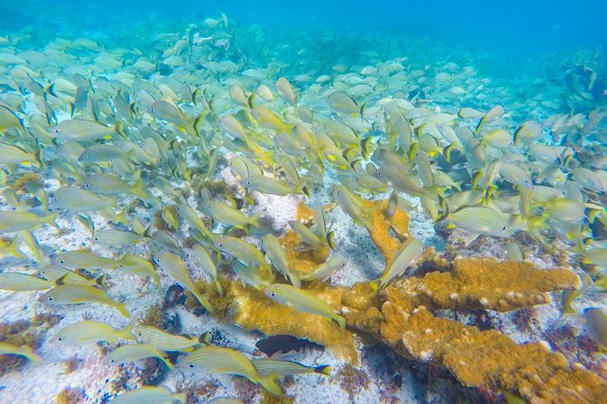 Isla Mujeres Snorkeling Tour Adventure - Boat ride reality check: choppy water and timing