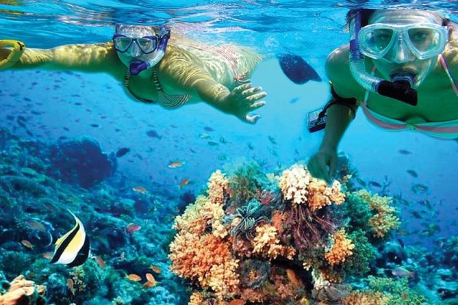 Isla Mujeres tour in a Catamaran with snorkel, open bar, lunch - Spinnaker Flying Depends on Weather, So Keep Your Expectations Flexible