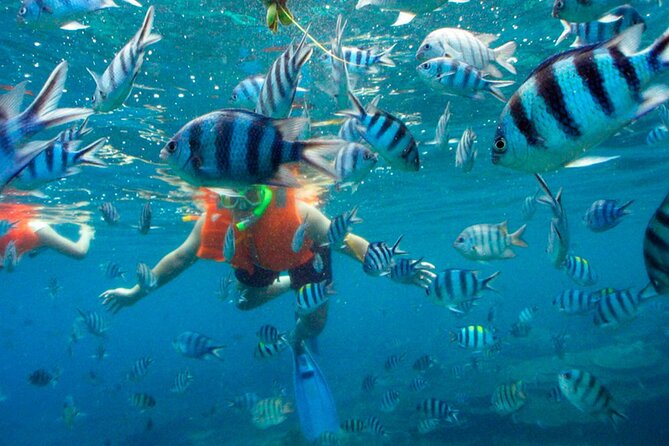 Jungle Tour Adventure in Cancun with Snorkeling - Nichupté Lagoon cruising: mangroves, wildlife, and chase-the-shutter moments