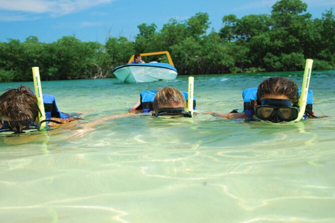 Jungle Tour Adventure in Cancun with Snorkeling - What to pack, what to do with your phone, and small safety moves